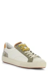 Ambitious 11218 Low Top Sneaker In Multi