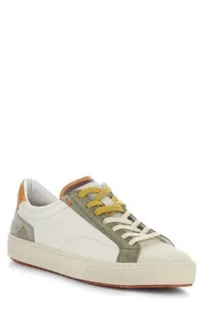Ambitious 11218 Low Top Sneaker In Multi