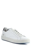 AMBITIOUS AMBITIOUS 11218 LOW TOP SNEAKER