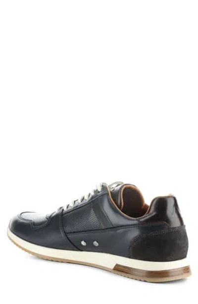 Ambitious 11240 Perforated Sneaker In Anthracite Leather