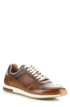Ambitious 11240 Perforated Sneaker In Brown