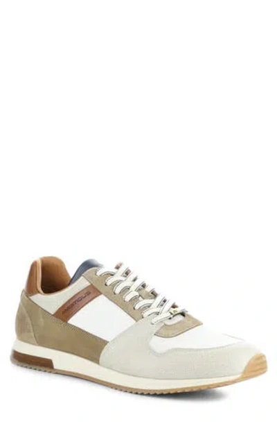 Ambitious 11240 Perforated Sneaker In Grey/off White/camel Leather