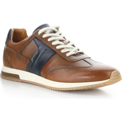 Ambitious 11319 Low Top Sneaker In Brown