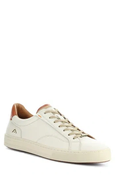 Ambitious 12403 Low Top Sneaker In Off White Leather