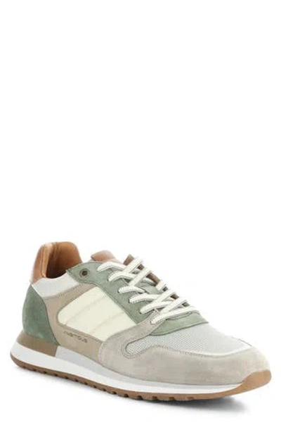 Ambitious 12554 Low Top Sneaker In Sand/khaki Combination