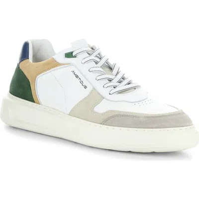 Ambitious 13449 Low Top Sneaker In Sand