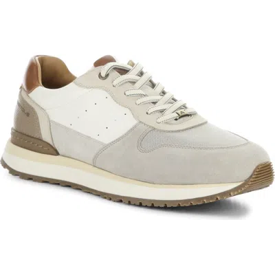 Ambitious 13939 Low Top Sneaker In Multi