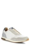 Ambitious 13956 Low Top Sneaker In Gray