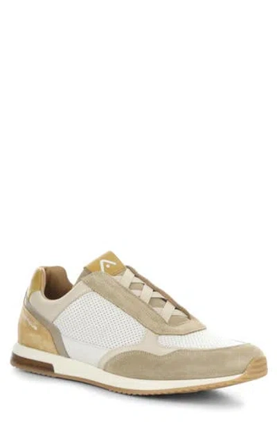 Ambitious 13956 Low Top Sneaker In Neutral