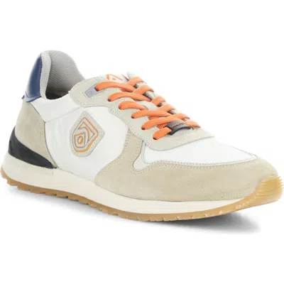 Ambitious 14003 Low Top Sneaker In Multi