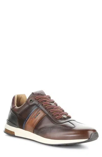 Ambitious Leather Lace-up Sneaker In Brown