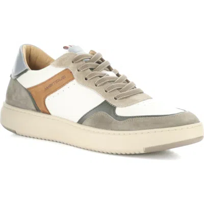 Ambitious Leather Low Top Sneaker In Multi