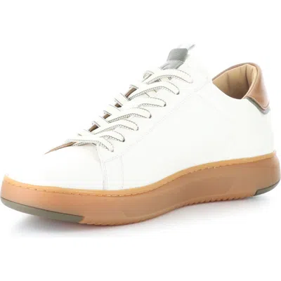 Ambitious Low Top Leather Sneaker In White