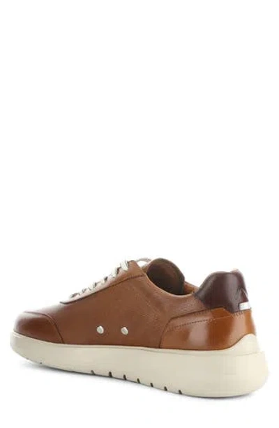 Ambitious Low Top Sneaker In Cognac/beige Leather