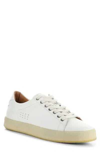 Ambitious Low Top Sneaker In White Leather