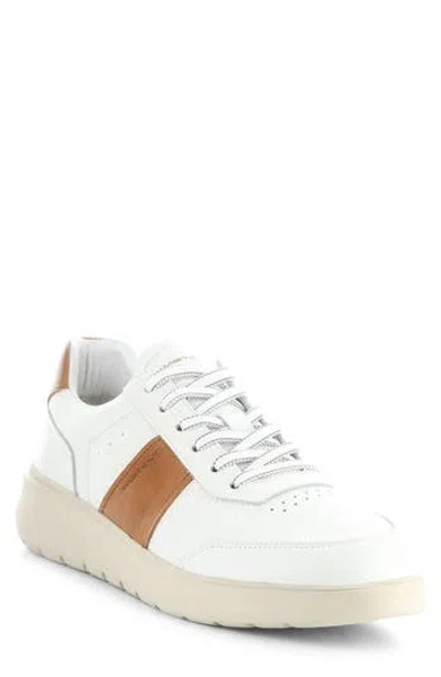 Ambitious Low Top Sneaker In White/cognac Leather