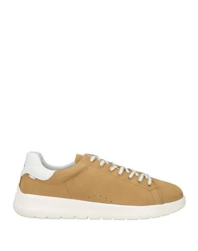 Ambitious Man Sneakers Camel Size 7 Leather In Brown