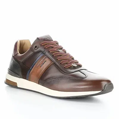 Ambitious Men's Leather Sneakers In Brown