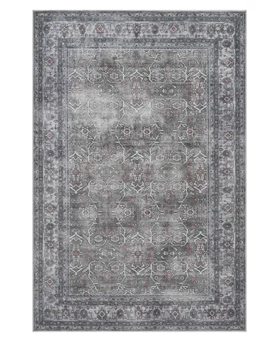 Amer Rugs Alaska Machine Washable Ala2 5'3'' X 7'6'' Area Rug