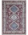 Amer Rugs Alaska Machine-washable Vintage Medallion Power-loomed Rug