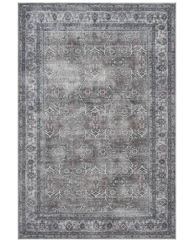 Amer Rugs Alaska Machine-washable Vintage Medallion Power-loomed Rug In Gray