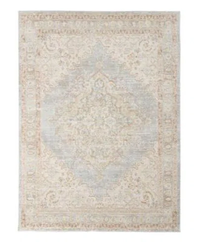 Amer Rugs Century Cen 11 Gray Ivory Area Rug Collection In Neutral