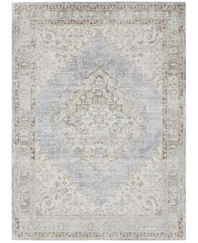 Amer Rugs Century Cen-11 Gray/ivory 7'10" X 10'6" Area Rug In Gray,ivory