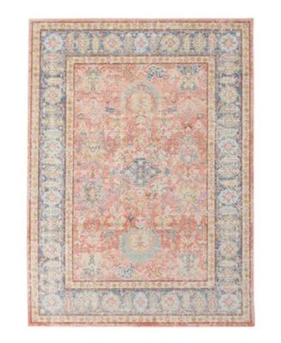 Amer Rugs Century Cen 16 Coral Area Rug Collection In Brown