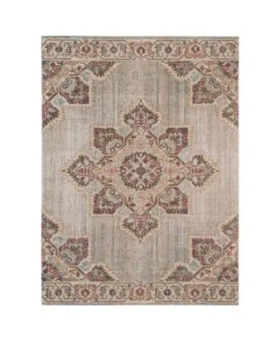Amer Rugs Closeout  Eternal Ete 20 Beige Sand Rug In Gray