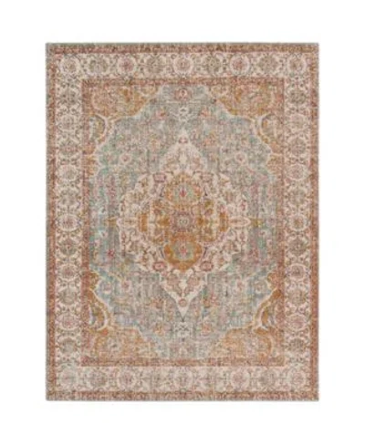 Amer Rugs Closeout  Eternal Ete 3 Aqua Ivory Rug In Neutral