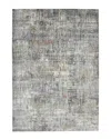 Amer Rugs Erysse Vermont Area Rug In Gray
