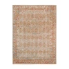 Amer Rugs Eternal 1 Bordered Indoor Rectangular Accent Rug In Brown