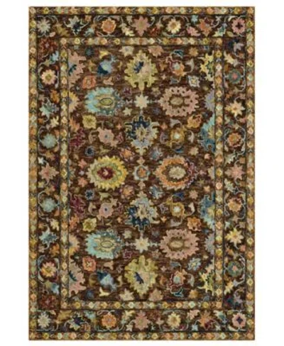 Amer Rugs Jackson Jac6 Rug Collection In Brown