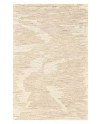 Amer Rugs Mexico Mex3 Rug Collection In Beige