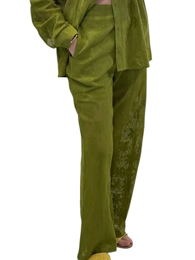America & Beyond Palm Tree Pants In Olive In Green