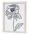 American Art Decor Peony Sketch Printed Glass Wall Art, 12" X 15" In Black