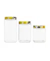 American Atelier Blossoms Lemons Square Glass Jars Set, 3 Piece In Clear
