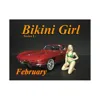 American Diorama February Bikini Calendar Girl Figure For 1 Isto 24 Diecast Model Car