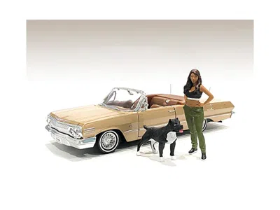 American Diorama Lowriderz Figurine Iv And A Dog For 1/18 Scale Models By  In Neutral