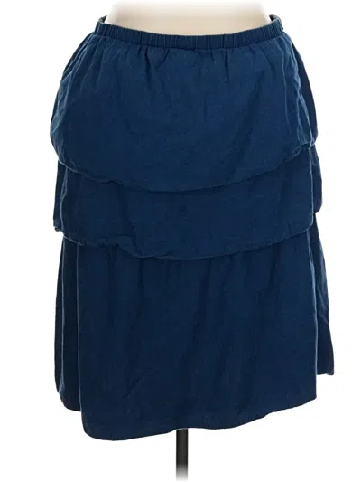Pre-owned American Eagle Outfitters Casual Skirt In Blue