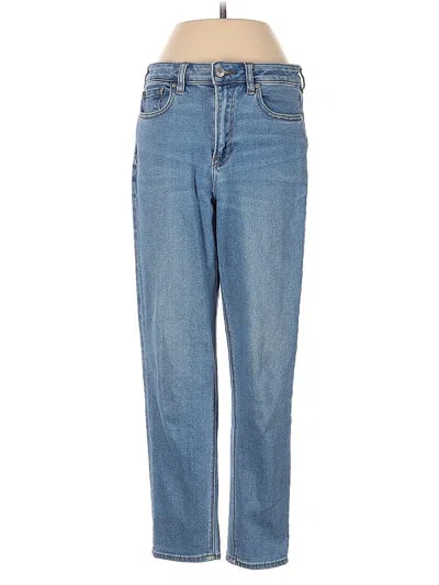 Pre-owned American Eagle Outfitters Jeans In Blue