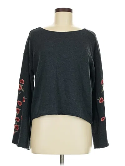 Pre-owned American Eagle Outfitters Long Sleeve Top Gray Boatneck Tops