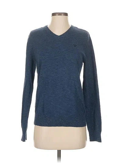 Pre-owned American Eagle Outfitters Pullover Sweater In Blue
