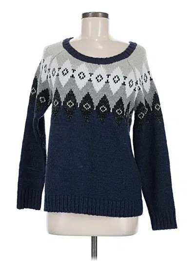 Pre-owned American Eagle Outfitters Pullover Sweater In Blue