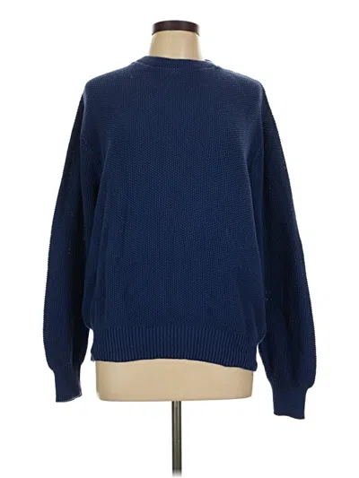 Pre-owned American Eagle Outfitters Pullover Sweater In Blue