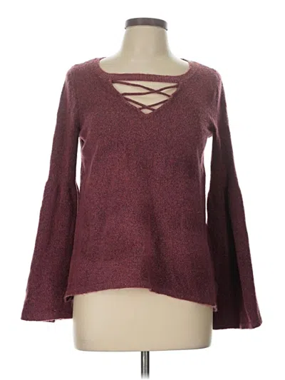 Pre-owned American Eagle Outfitters Pullover Sweater In Burgundy