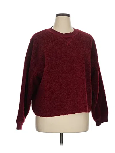 Pre-owned American Eagle Outfitters Pullover Sweater In Burgundy