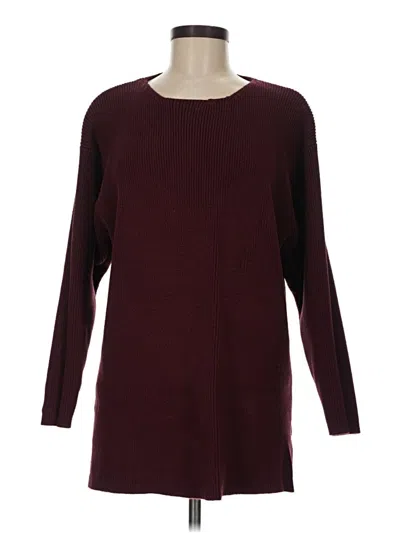 Pre-owned American Eagle Outfitters Pullover Sweater In Burgundy