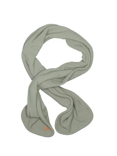 Pre-owned American Eagle Outfitters Scarf In Gray