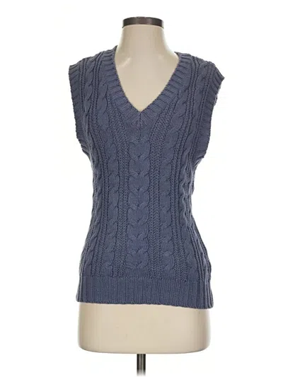 Pre-owned American Eagle Outfitters Sweater Vest In Blue
